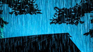 Intense Rain Sounds for Sleeping Sleep Fast  Heavy Hurricane Rain on Metal Roof amp Intense Thunder [upl. by Adimra]