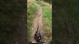 Smells Like Tweed Spirit Glentress MTB Trail Part 4 [upl. by Yetti]