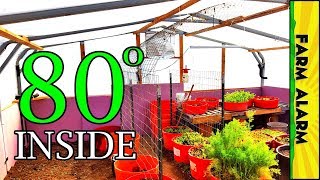 How to Heat your Greenhouse in the Winter  Wood Furnace [upl. by Amero]