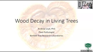 Wood Decay in Living Trees  the Biology and Implications for Arborists [upl. by Annissa]