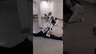 Warm up Kàrate side starching tutorial sensei dev Giri  short [upl. by Akcemat607]