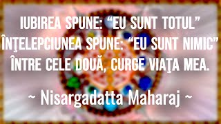 Adevărul Suprem  spus de Nisargadatta Maharaj Cine sunt eu A doua parte [upl. by Nirad]