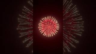 Happy Diwali 2024 🎇🪔Fireworks cracker fireworks firework photography love feuerwerk happy [upl. by Esinyt699]