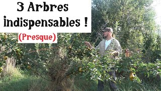 3 Arbres indispensables au jardin  presque [upl. by Petronilla]