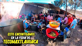 San Sebastián Tecomaxtlahuaca y su Feria Anual 2024 [upl. by Ayotak]