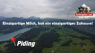 Molkerei Berchtesgadener Land  Milchverarbeitung  Nachhaltigkeit  Salzachtaler Agrarvideos [upl. by Osgood371]