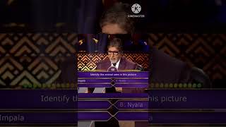 Kon banega crorepati Amitabh bachan kbc kbcvideos amitabhbachchan Amitabh sports [upl. by Haraz133]