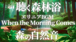 【作業用】エリニアBGM「When the Morning Comes」＋森の自然音【自分用】 [upl. by Sira]