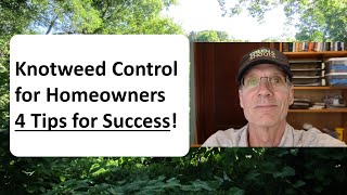 Knotweed Control for Homeowners 4 Tips for Success [upl. by Llevel]