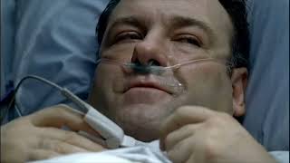 The Sopranos Season 6 Episode 04 The Fleshy Part of the Thigh Tony Not Feeling Himself After Get [upl. by Eelanna]