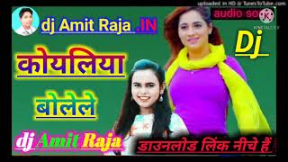 Bajariya Mein Raja Ji dialogue song Bhojpuri gana DJ Mitra Raja [upl. by Hebe]