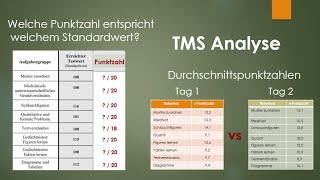 TMS Ergebnisse November 2022  Analyse [upl. by Akoyin]