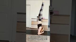 BEST Exercise to get your Forearm Stand yogapractice [upl. by Wamsley]