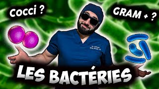 BACTÉRIES  LE GUIDE ULTIME 🦠 [upl. by Felten]