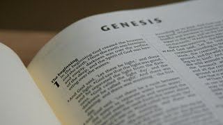 Bible Study Genesis Week 11 [upl. by Roobbie]