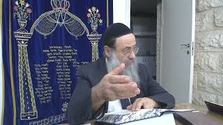 Daf Hayomi  Baba Batra  Daf 127 Rav Elie Perez [upl. by Rhodes]