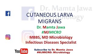 CUTANEOUS LARVA MIGRANS MJMICRO [upl. by Parthinia]