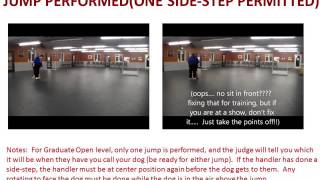 4 H dog leader training 2016 part 3 [upl. by Reisman906]