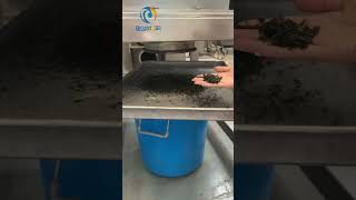 Wakame granules crusher seaweed crushing machine seaweed granules making machine [upl. by Ynohtn694]