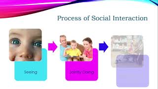 Social Interaction Theory  Vygotsky [upl. by Doll441]