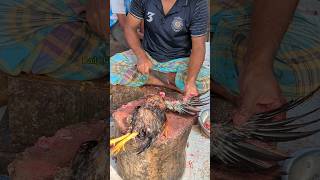 Amazing Special Desi Chicken Cutting Skills In Bangladesh Chicken Market 😱 shorts [upl. by Nwahsal512]