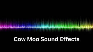 Cow Moo Sound Effects HD [upl. by Ethben]