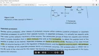 Aspartate Proteases Renin Pepsin HIV Protease IsoAllozymes Abzymes RNADNAzymes [upl. by Arihs]