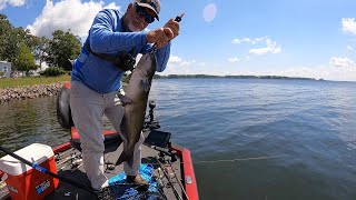 Big Catfish Casting Catch And Release Lake Murray [upl. by Terese382]