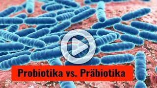 Probiotika versus Präbiotika [upl. by Oab]