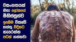 🎬 ඇනිමල් Kingdom  Movie Review Sinhala  Movie Explanation Sinhala  Sinhala Movie Review ආදරය [upl. by Dixil]