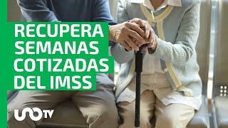 Recupera semanas cotizadas del IMSS [upl. by Enitsuga]