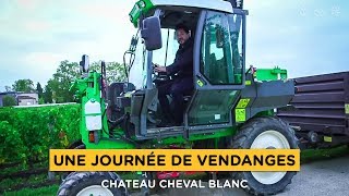 Je vendange un vin mythique  Château Cheval Blanc [upl. by Eitac]