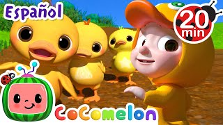 Diez patitos  Canciones Infantiles  Caricaturas para bebes  CoComelon en Español [upl. by Powder]