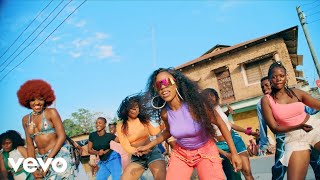 Vinka Phina  Bailando Remix Official Music Video [upl. by Aitnauq]