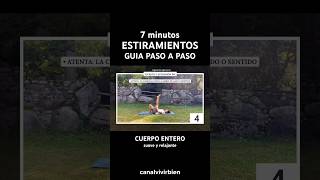 7 min Estiramientos Cuerpo Completo  Flexibilidad y Relajación estiramientos estiramiento [upl. by Siegel508]