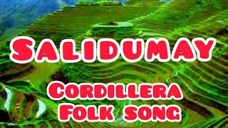 Music of Cordillera  Salidumay  Cordillera Folk Song  Grade 7  Learning [upl. by Hafeetal]