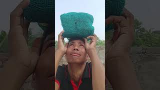 Mera Diwala 🥴  The most viral comedy by Maabeta 🔥 ytshorts shorts [upl. by Eissalc]