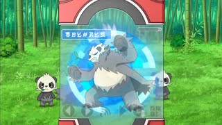 Pangoro Pokédex Entrywmv [upl. by Nnylf]