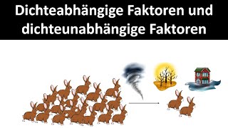 Dichteabhängige amp Dichteunabhängige Faktoren Biologie Ökologie Oberstufe [upl. by Hsot]