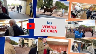 Bande annonce Les VENTES de CAEN 2023 en direct [upl. by Fachan488]