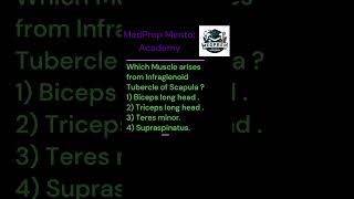 ANATOMY  UPPER EXTREMITIES Multiple Choice Que No6 bhms bams mbbs bscnursing first year exam [upl. by Anavlys]