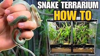 UPGRADING RHINOCEROS RATSNAKES INTO BIOACTIVE TERRARIUMS [upl. by Ebneter972]