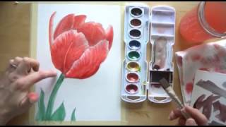 How to draw and paint a Tulip with watercolors BEGINNER TUTORIAL [upl. by Aylat]