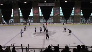 Olentangy Berlin vs New Albany  OHSAA Columbus Region Quarterfinals  Center Ice [upl. by Adekam216]