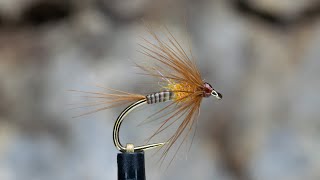 Quill Bodied Cruncher [upl. by Lawrenson]