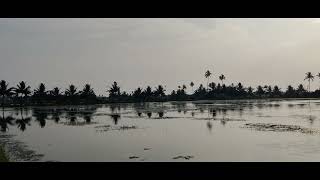 CHANGARM WETLANDS  Alappuzha  Tourism Kerala [upl. by Corine]