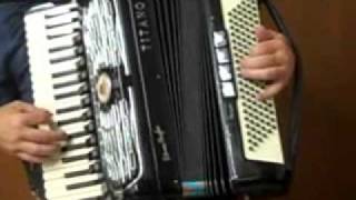 Titano Parade 120 Bass Accordion [upl. by Tugman541]