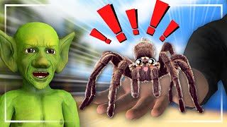 GLIMBO AND THE RETURN OF THE SPIDER Hilarious VRChat Jumpscares [upl. by Rohpotsirhc]