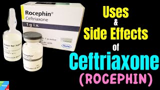 Ceftriaxone Rocephin – Side Effects Uses Mechanism of Action Dosage Interactions Warnings [upl. by Ailuy]