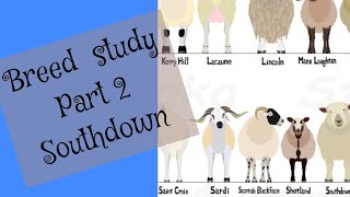 Breed study Part 2 Southdown [upl. by Afra]